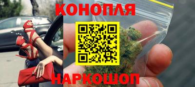 сатива Кунгур