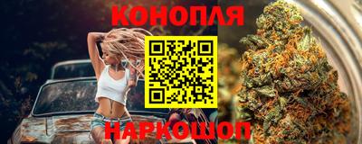 сатива Кунгур