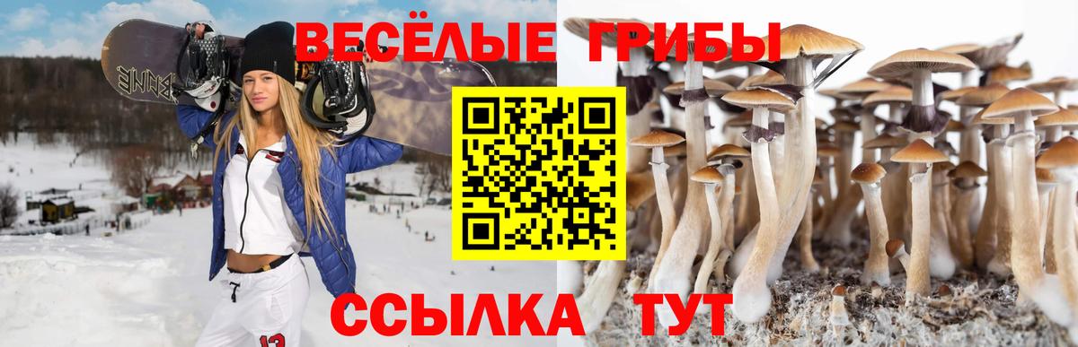 Галлюциногенные грибы GOLDEN TEACHER Фролово