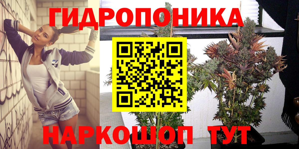 Каннабис OG Kush Фролово